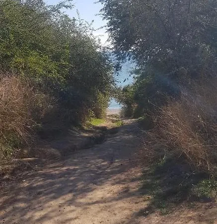 בית הארחה Casa Cochilia - Privata In Localitatea