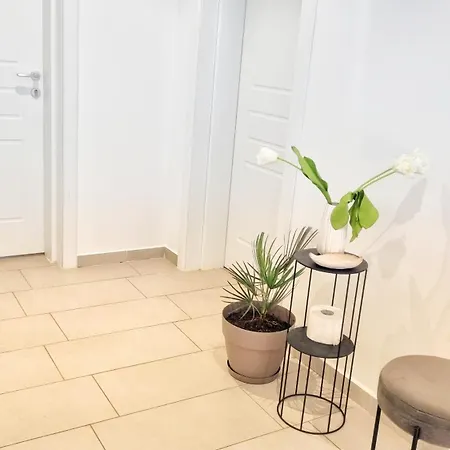 Casa Cochilia - Gradina Si Terasa - Private 3* トゥズラ