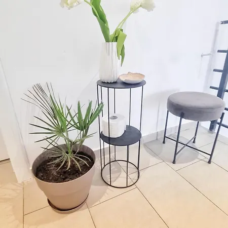 Casa Cochilia - Gradina Si Terasa - Private ゲストハウス