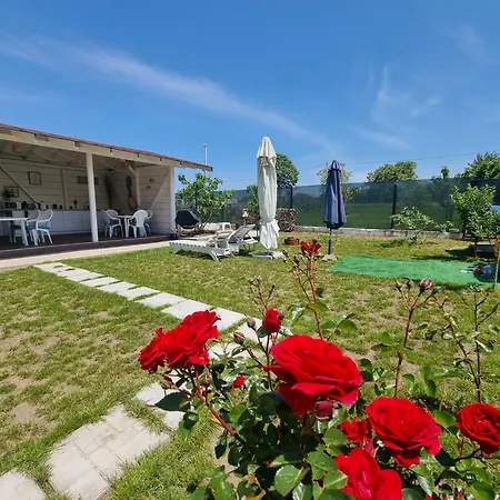 Guest house Casa Cochilia - Gradina Si Terasa - Private